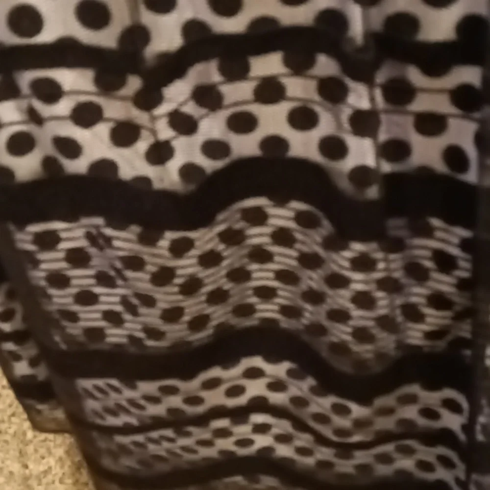 FINAL PRICE NWOT Jessica Simpson black/ white sheer polkadot dress w 20" zipper - Picture 9 of 16